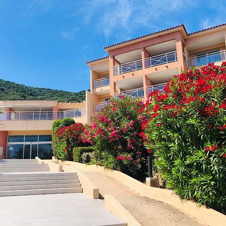 Evasion Corse - T2 Vue Mer, Piscine & Plage アジャクシオ エクステリア 写真