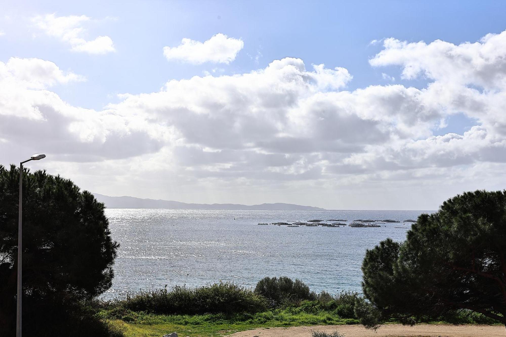 Evasion Corse - T2 Vue Mer, Piscine & Plage アジャクシオ エクステリア 写真