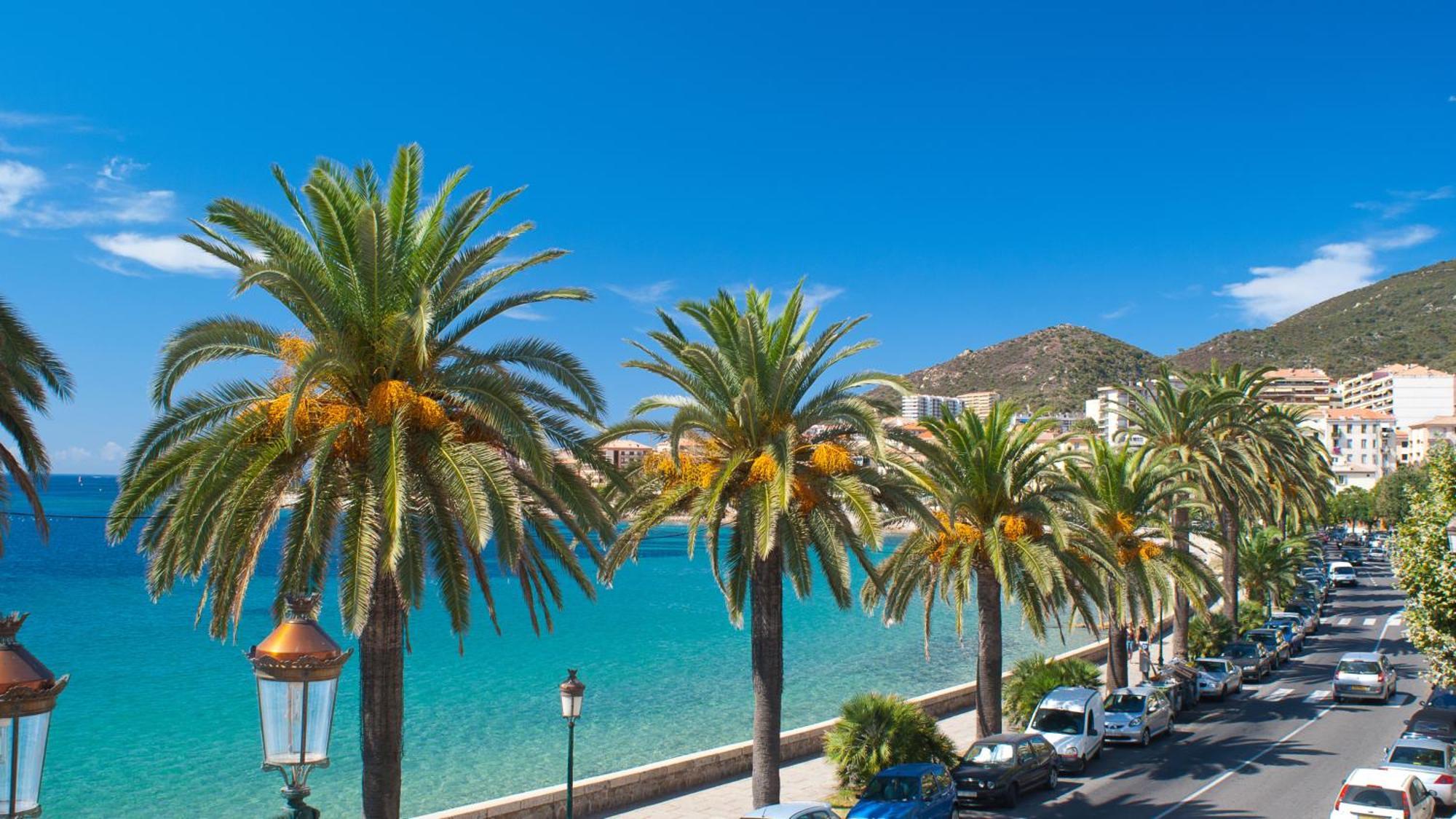 Evasion Corse - T2 Vue Mer, Piscine & Plage アジャクシオ エクステリア 写真
