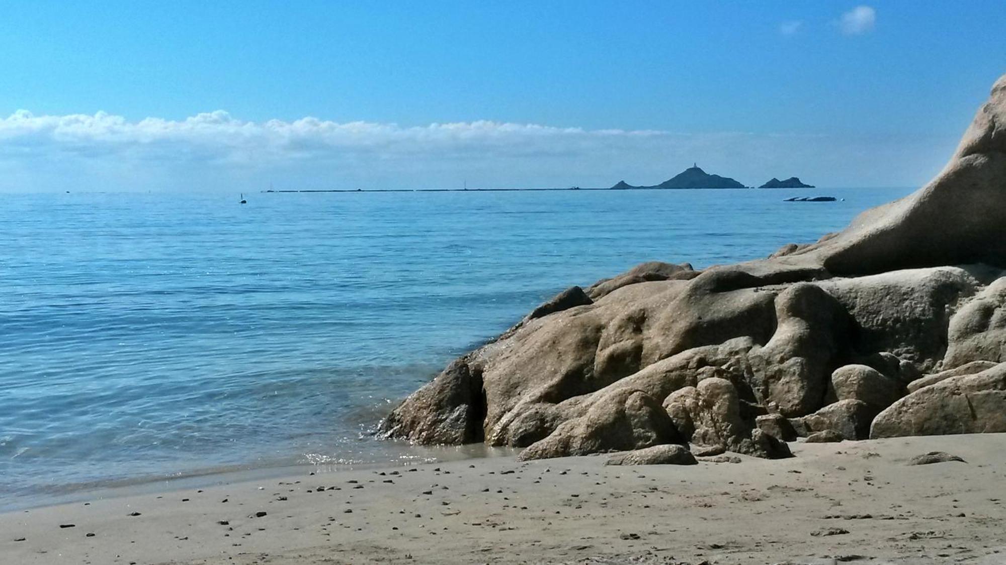 Evasion Corse - T2 Vue Mer, Piscine & Plage アジャクシオ エクステリア 写真