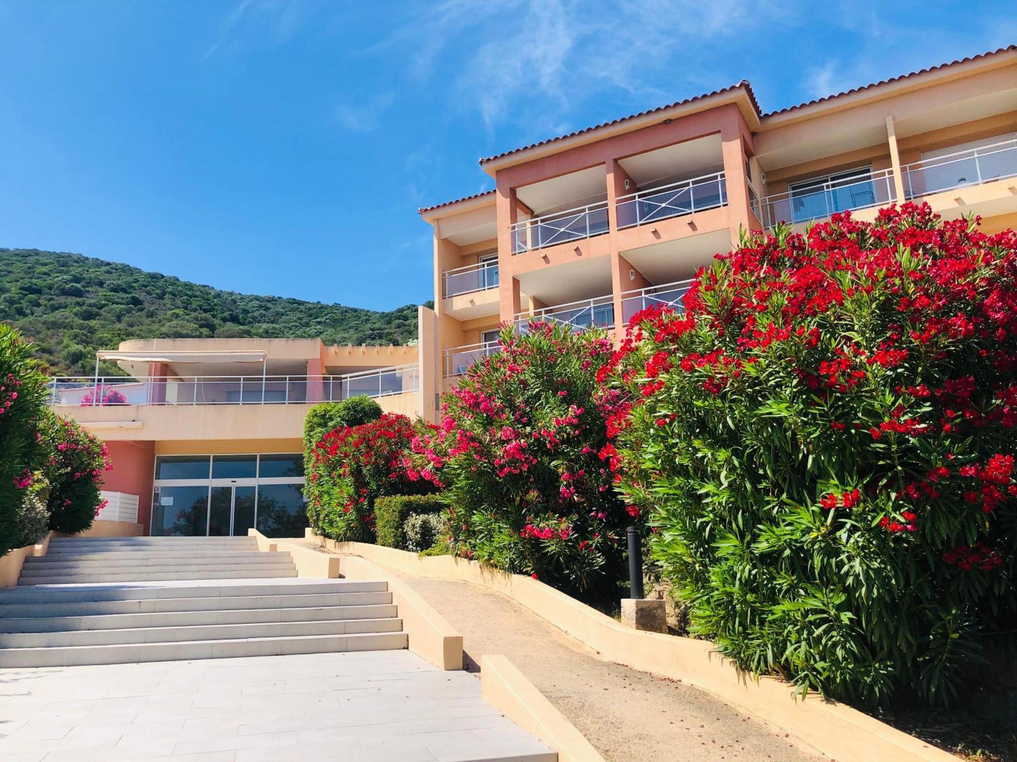 Evasion Corse - T2 Vue Mer, Piscine & Plage アジャクシオ エクステリア 写真